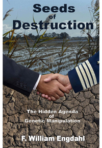 Sees of Destruction book cover