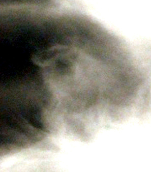 Spokane Washington Sylphs August 24 2008