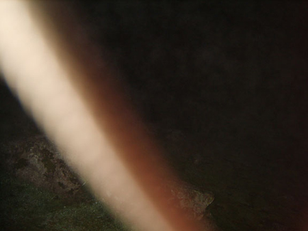 James Casbolt Photo D