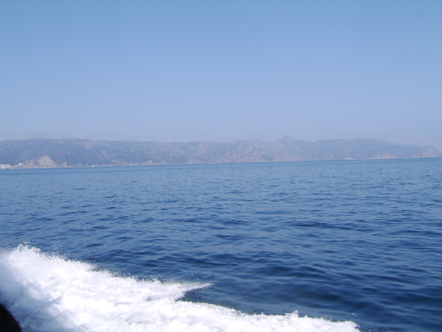 Catalina ahead