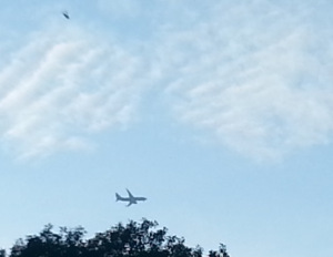 chem trails and constant plane2