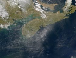 A satellite photo of Nova Scotia showing numerous contrails of jets travelling between the Eastern Seaboard and Europe.