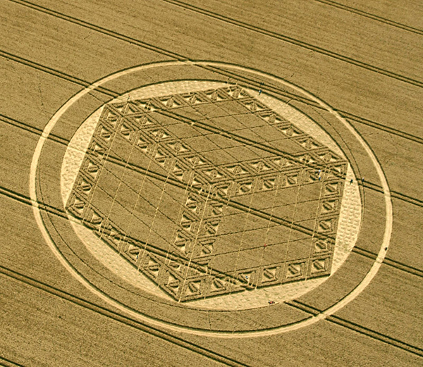 Wiltshire UK Aug 26 2012 crop circle